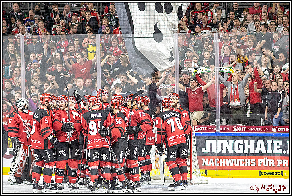 DEL; Koelner Haie - ERC Ingolstadt, 31.03.2019